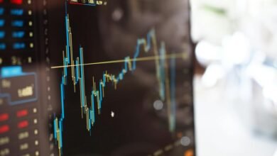 long term growth strategy assessment
