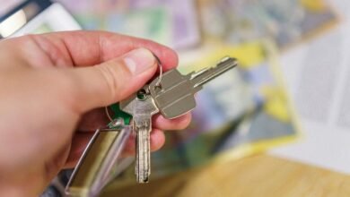 real estate or stocks
