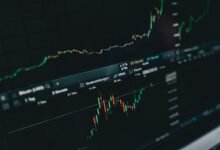 stocks gaining popularity rapidly
