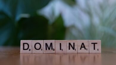 digital strategy development framework