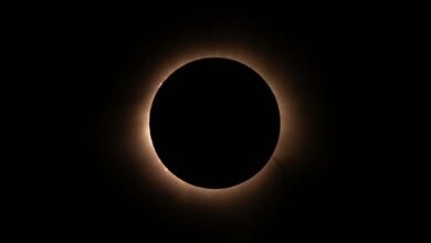 eclipse core growth node