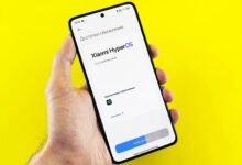 sapiosexual profiles and insights