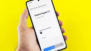 sapiosexual profiles and insights