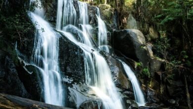 transformative competitive market advantage