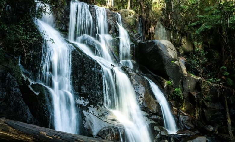 transformative competitive market advantage