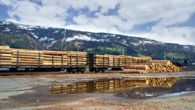 user activity and logs